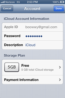 iCloud Account Information Web Page on the iPhone