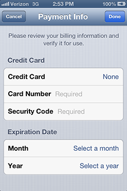 iPhone Payment Information