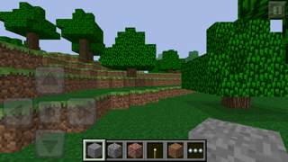 Result of a built Minecraft PE world